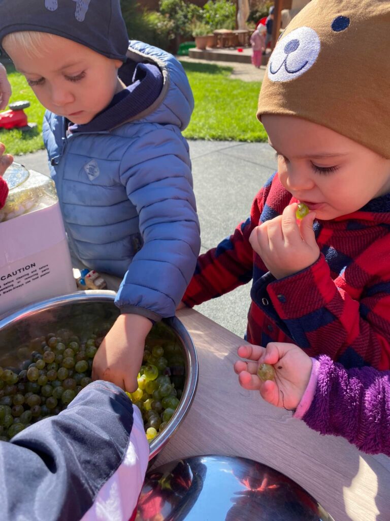 474609909 1183865643425207 8401892043387841210 n