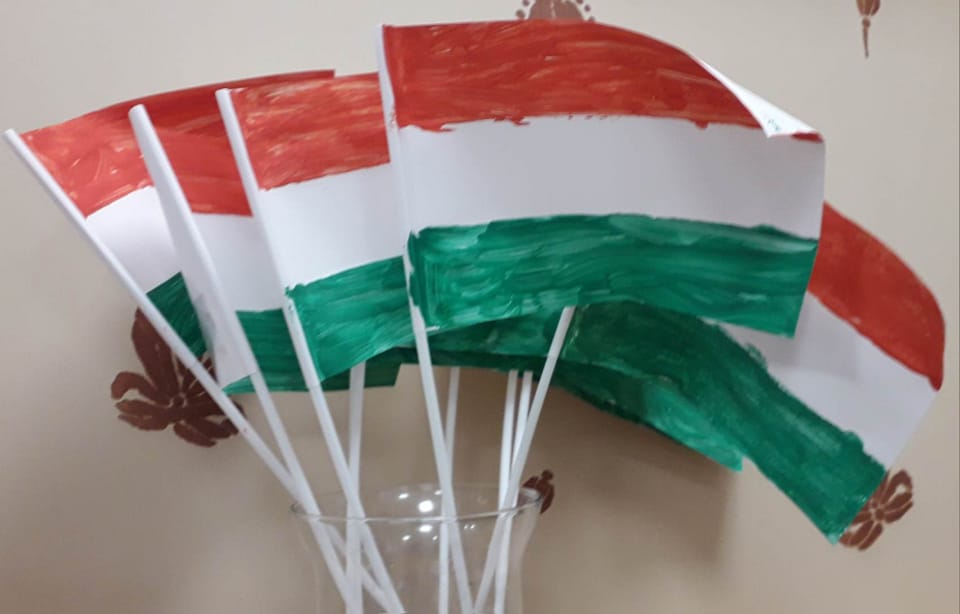 482023485 2635947686591128 4363289622707588615 n