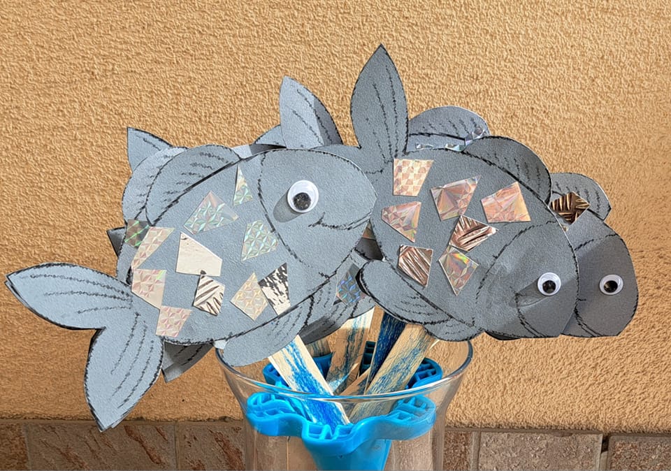 483356349 2636134959905734 2558364293712946984 n