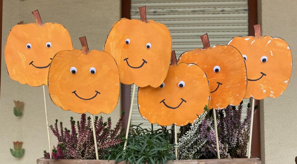 490020982 23906029429004611 7062990173490345239 n