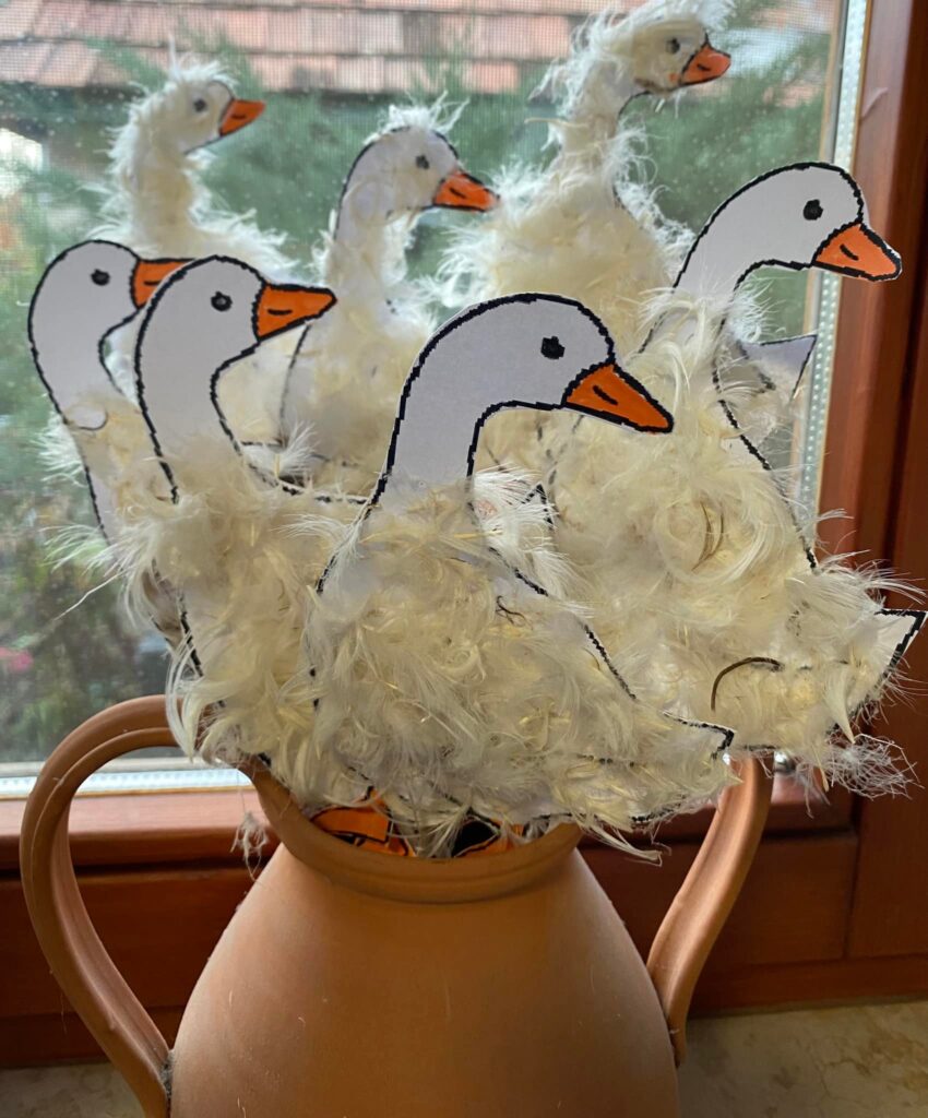 490772645 23914819538125600 3876768297400564037 n