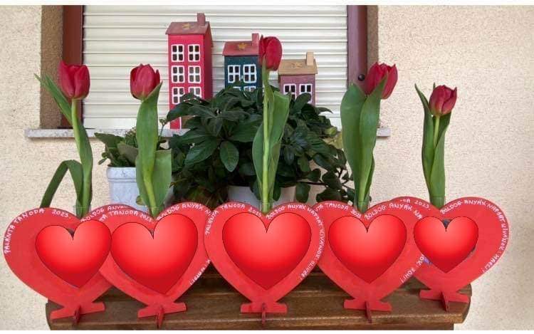 494689093 24041271752147044 3425018743383467833 n